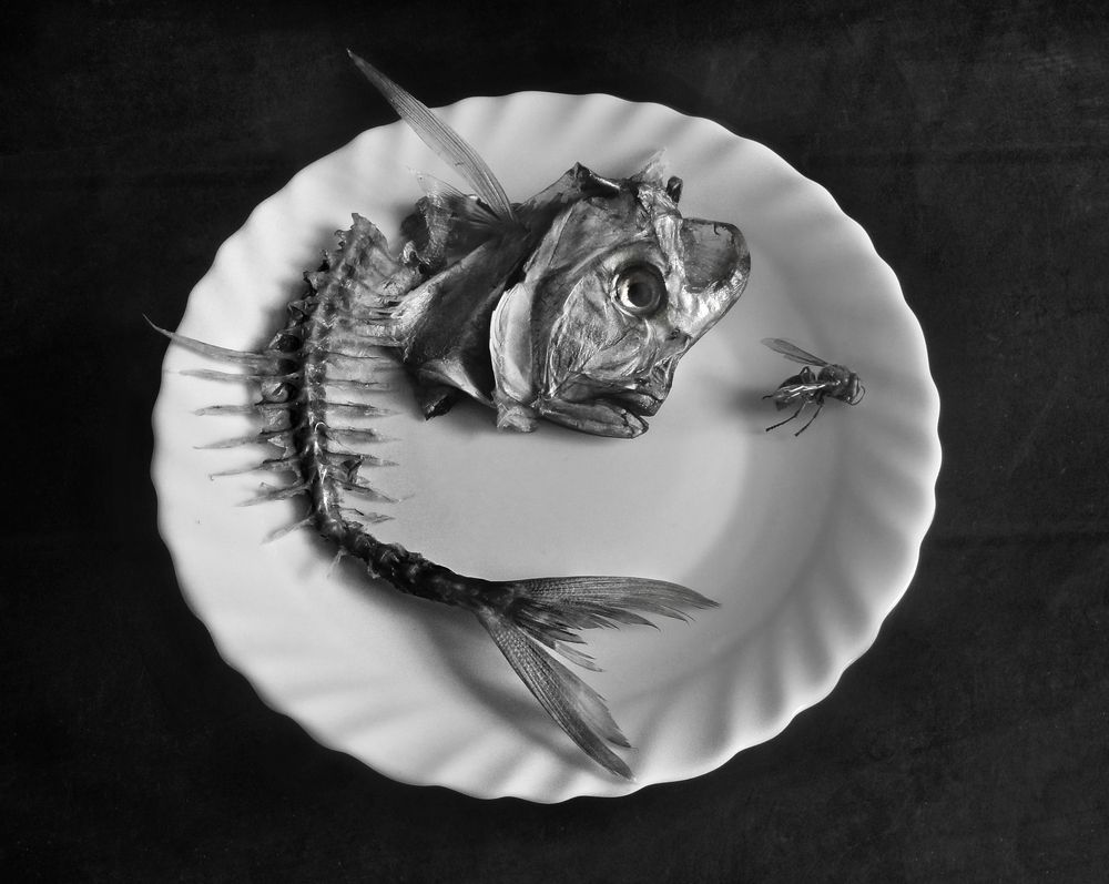 You can't escape fate / От судьбы не уйдешь