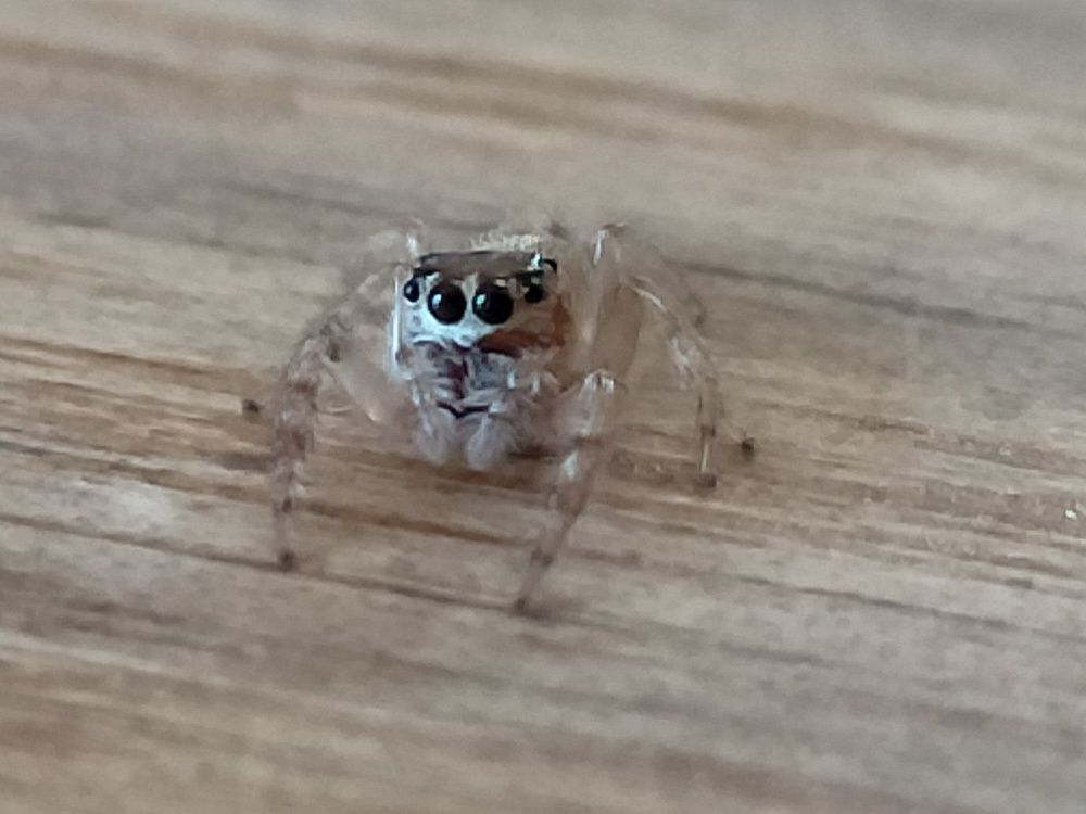 Photograph by Kirsteen Isles