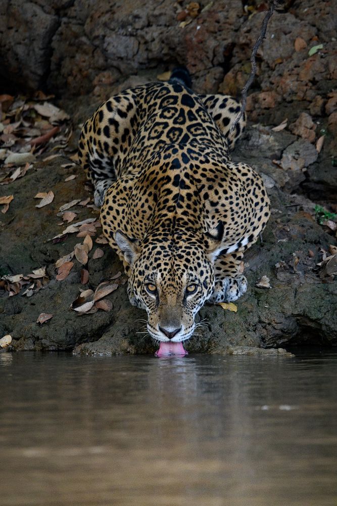 Photograph by Clément Fontaine