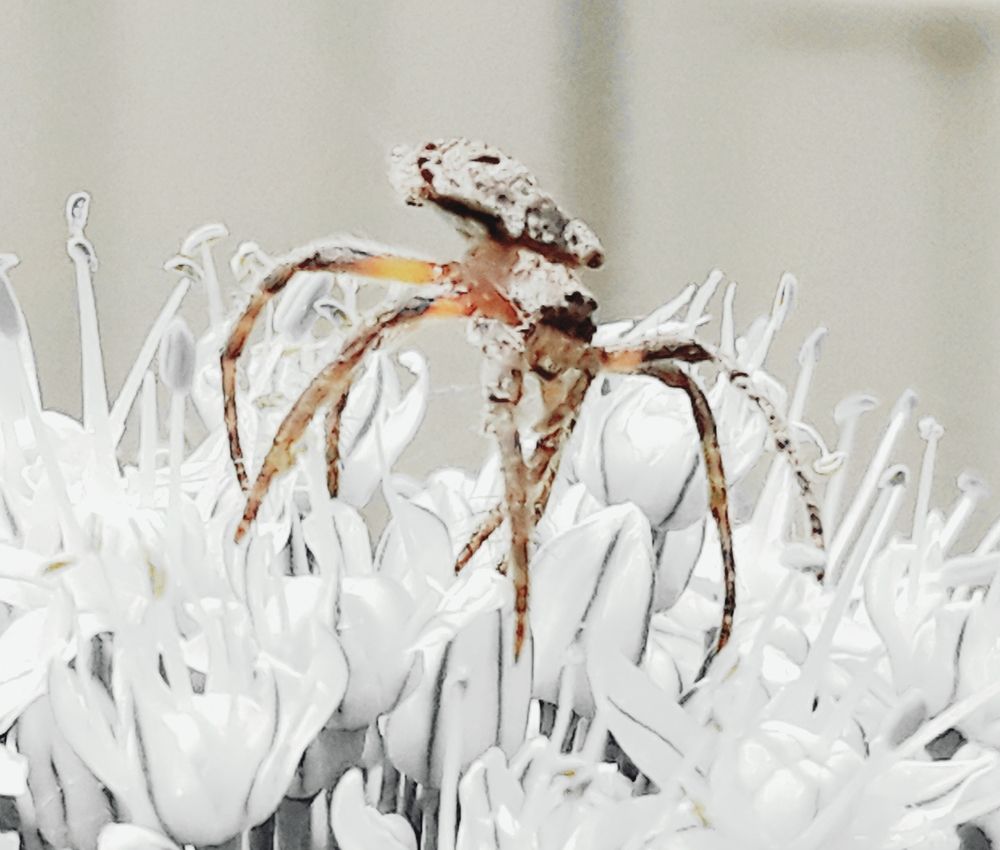 Photograph by Kirsteen Isles