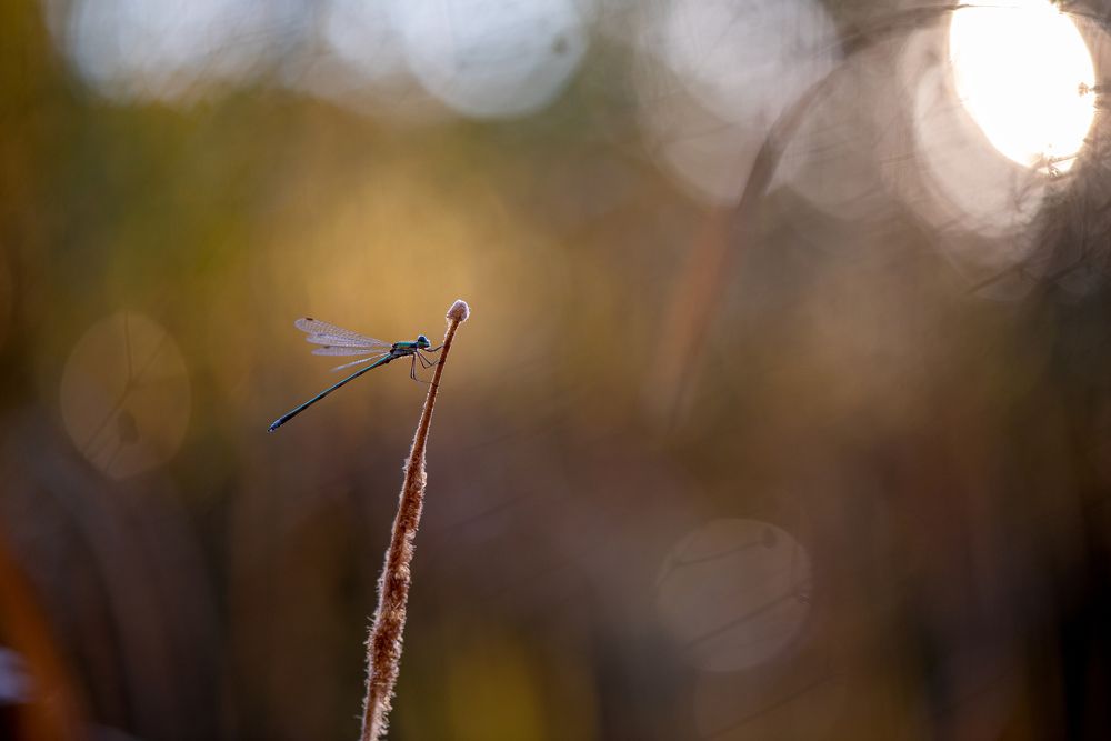 Photograph by Кузнецов Дмитрий