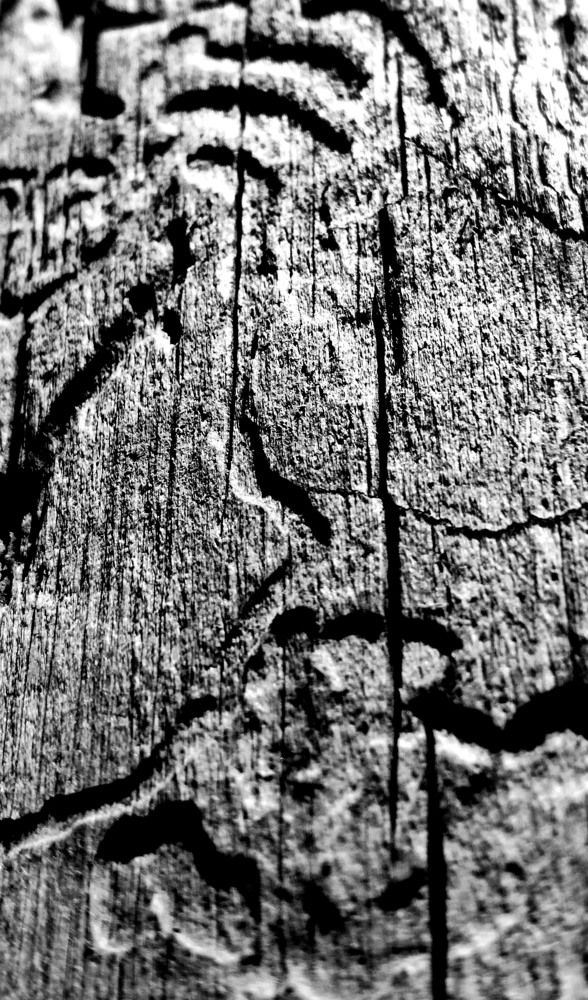 Photograph by Сергей Заподовников