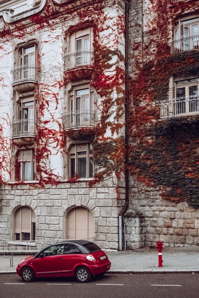 Photograph by Алина Гончарова