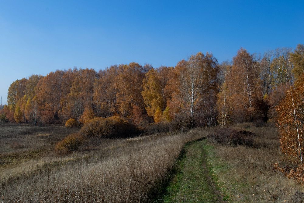 Вот и осень.