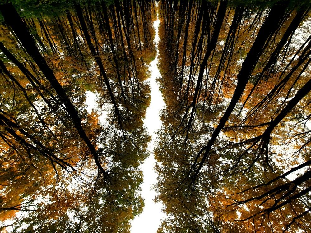 Фотография автора Антон Бразевич