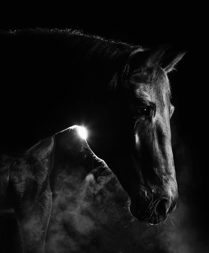 Photograph by Анастасия