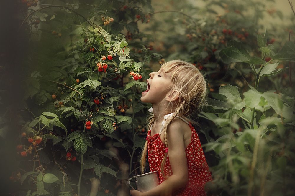 Фотография автора Наталья Водовозова