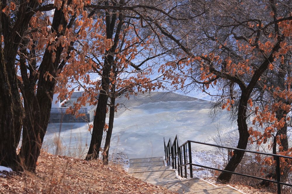 Photograph by Лена Лазарева