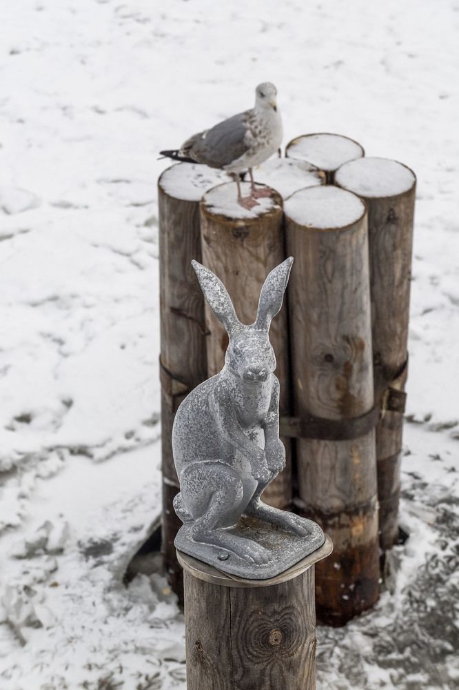 Заячий остров