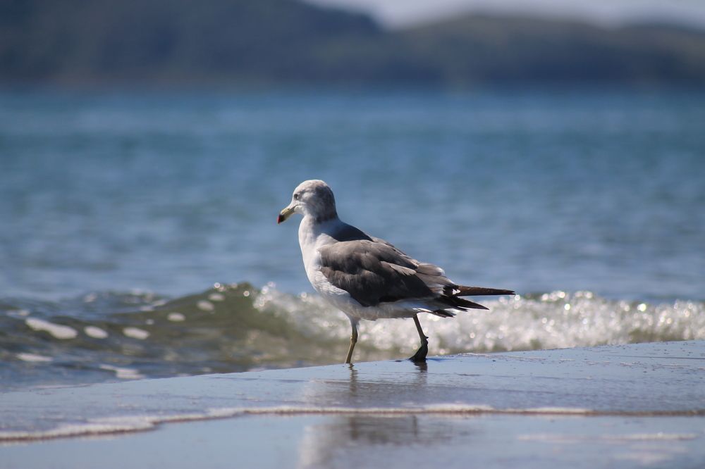 Photograph by Лена Лазарева