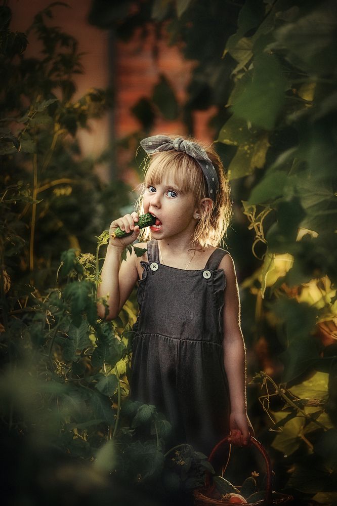 Фотография автора Наталья Водовозова