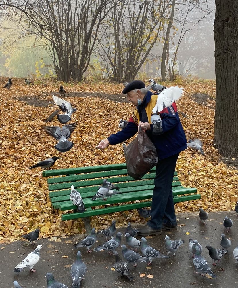 Photograph by Косяченко Светлана