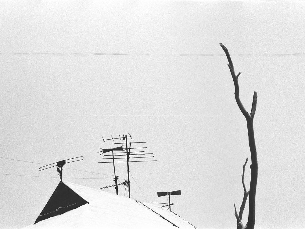 Photograph by Алигума Петонов