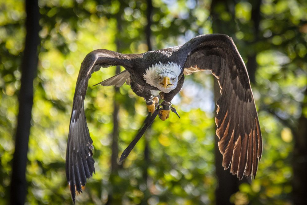 Photograph by Marcin Ozzy