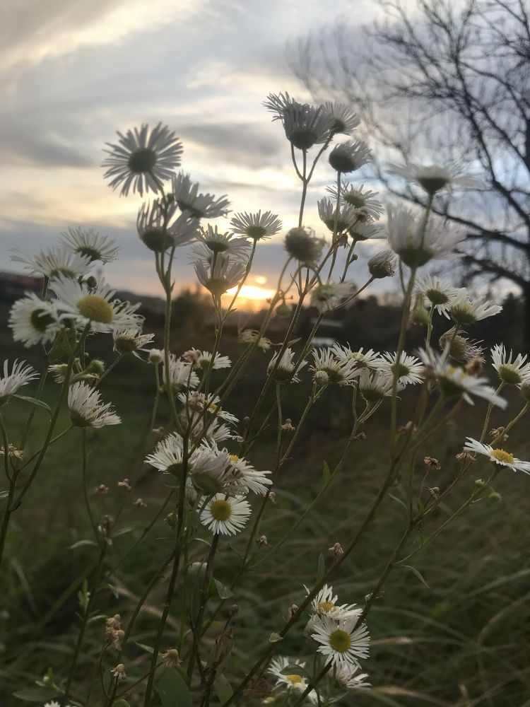 Фотография автора Virginija Sakalauskiene