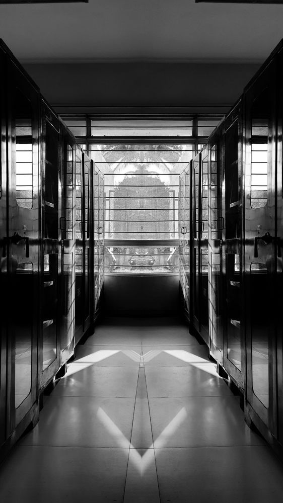 Photograph by NIRANJAN WADEKAR