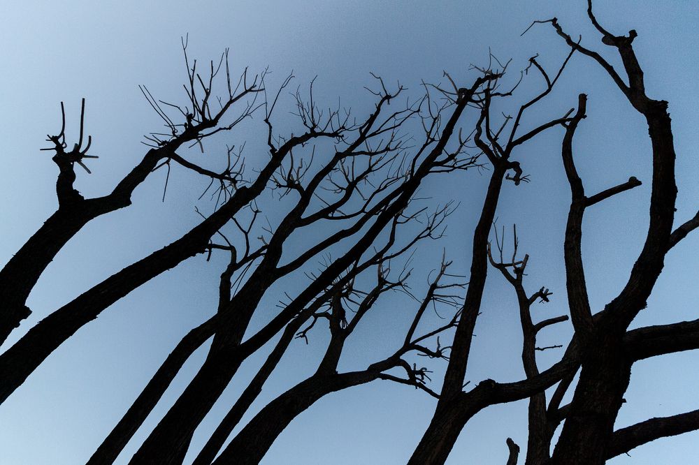 Photograph by Евгений Москвин