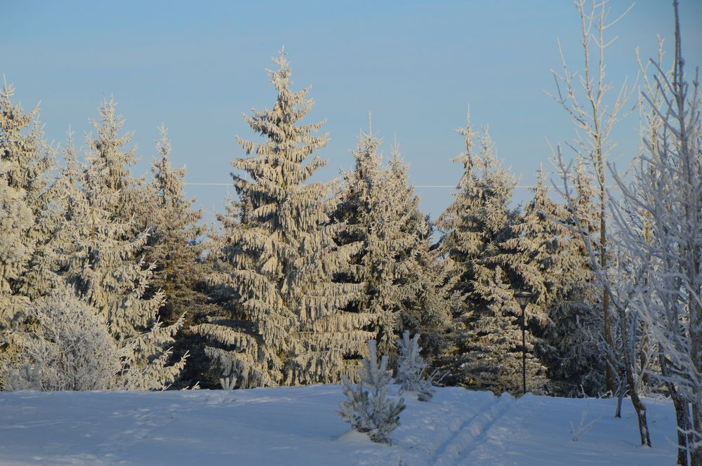 Photograph by Alvydas Ldk