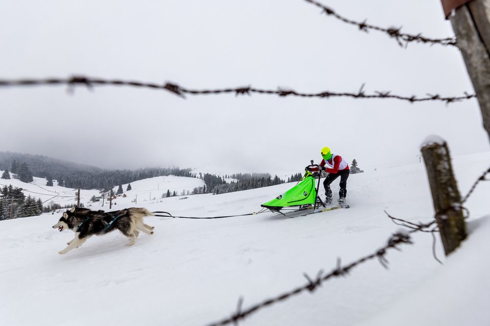 Photograph by Adrian Grigore