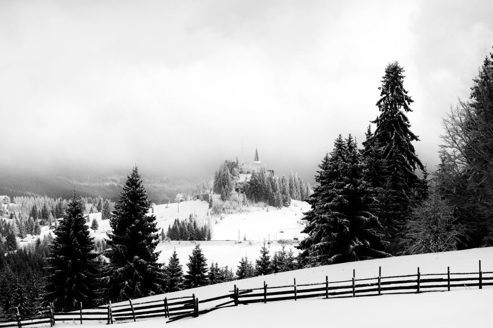 Photograph by Adrian Grigore