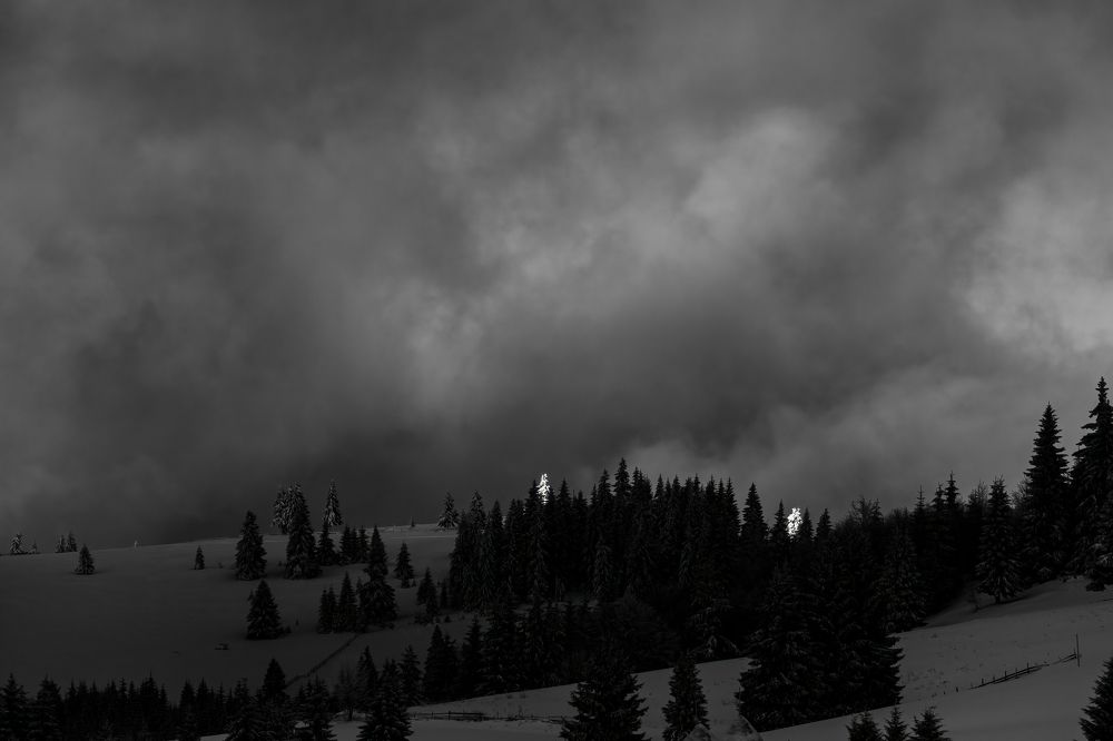 Photograph by Adrian Grigore