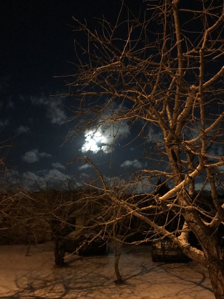 Фотография автора Virginija Sakalauskiene