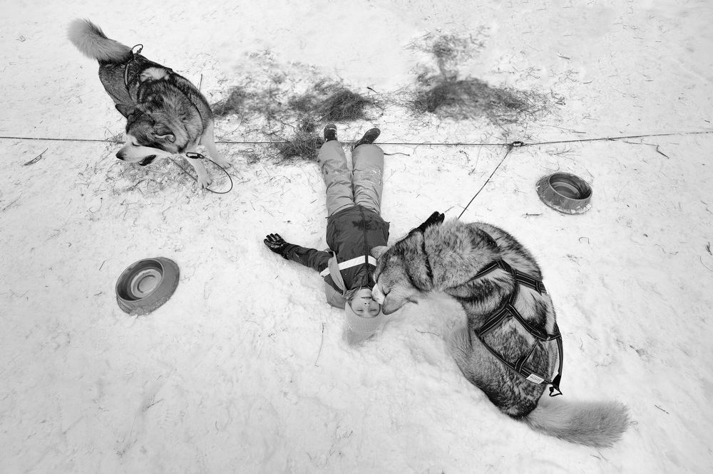 The girl and her dogs