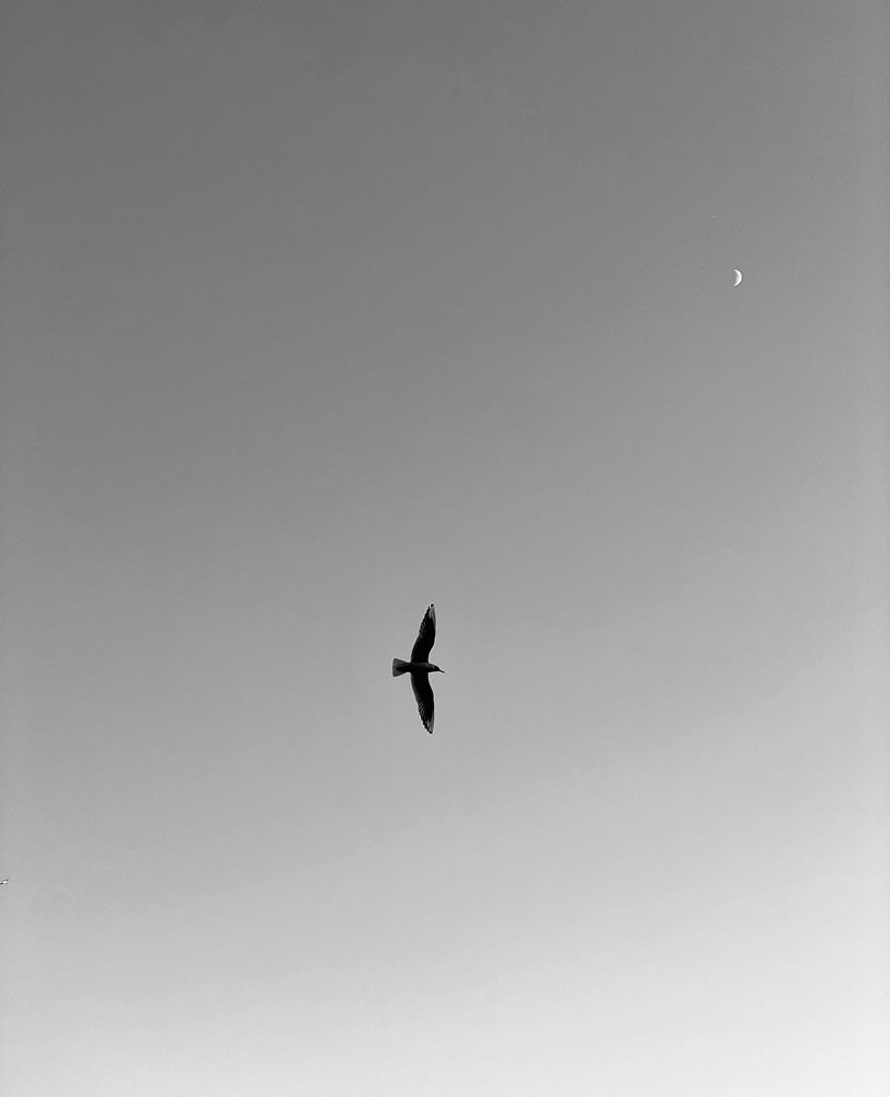 Photograph by Александра Силохина