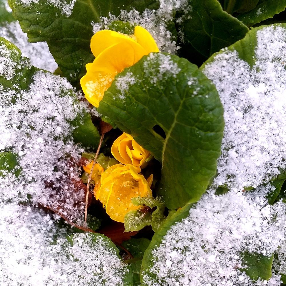 Photograph by Елена Муковникова