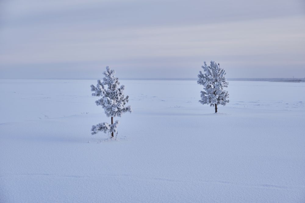 Photograph by Марк