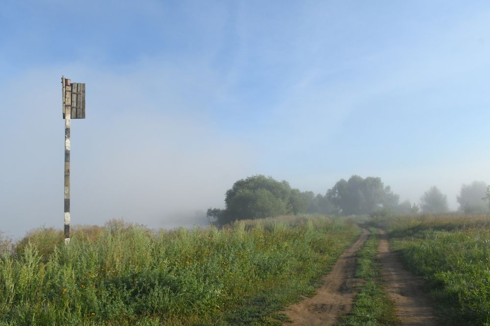 Photograph by Виталий Попов