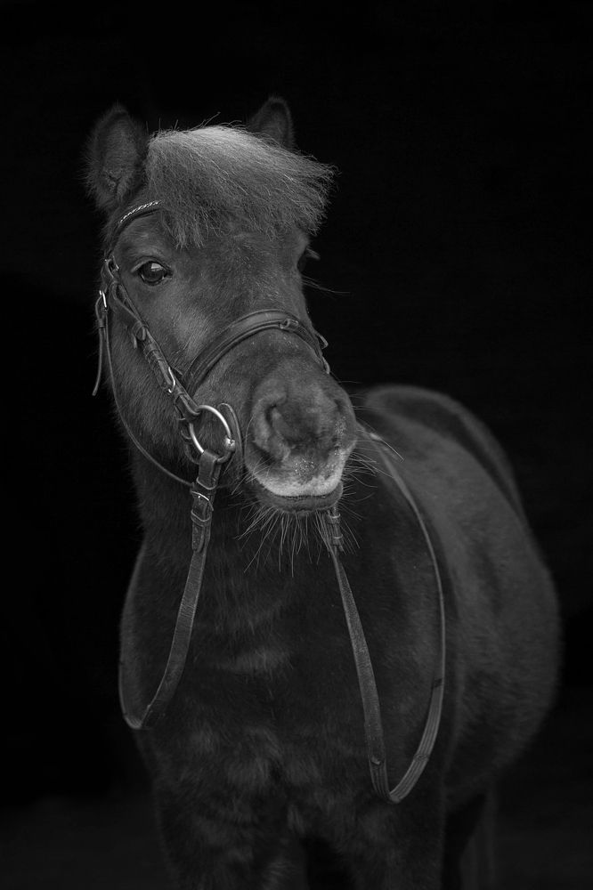 Photograph by Любовь Похабова