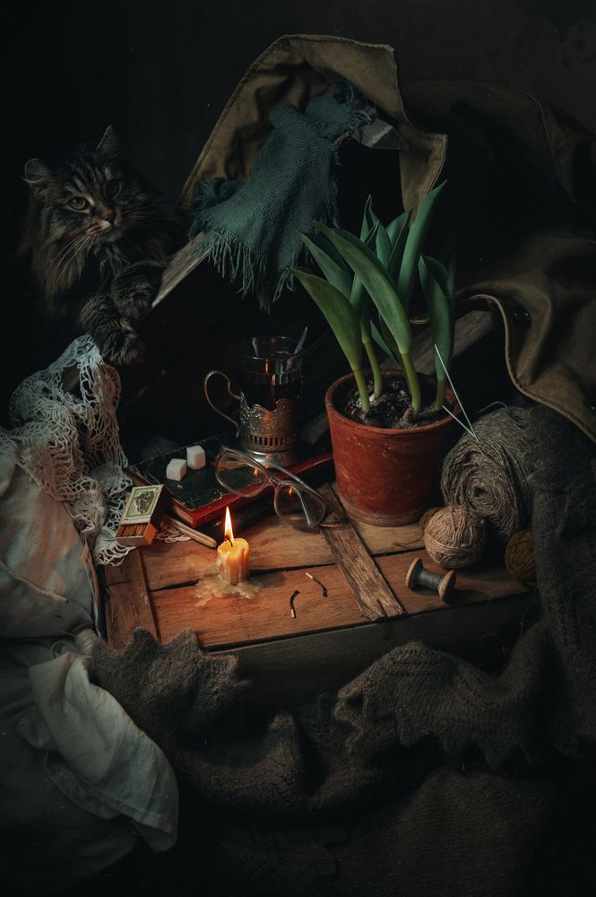 Photograph by Бабинцева Мария