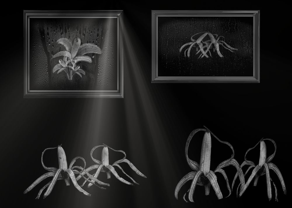 Любовь и бананы.