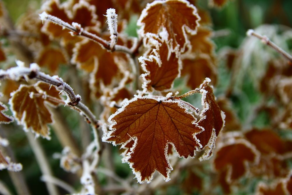 Photograph by Юлия Казакова