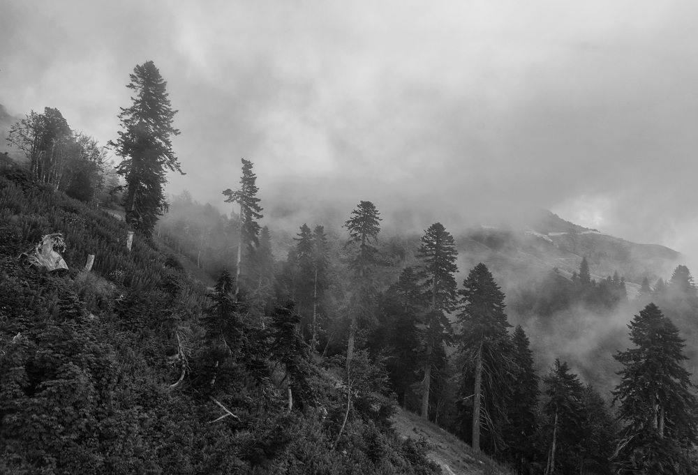 Photograph by Армашов-Тельник Григорий