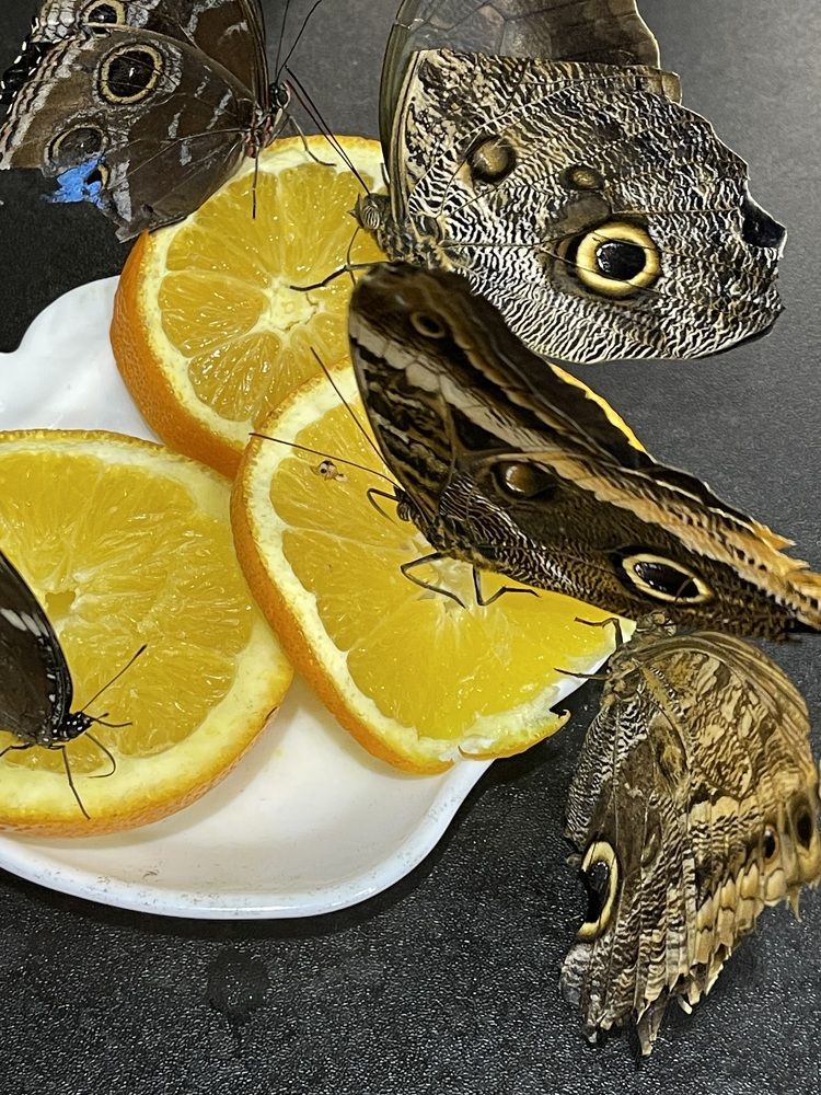 Photograph by Raisa Belova