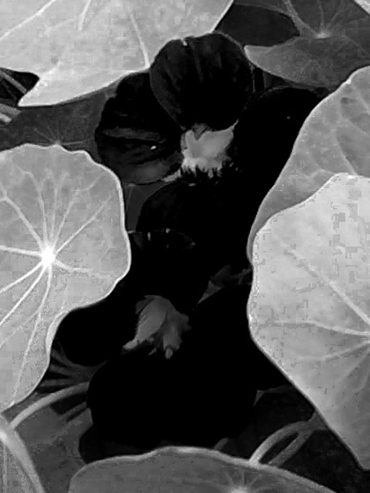 Photograph by Нина Мехнина