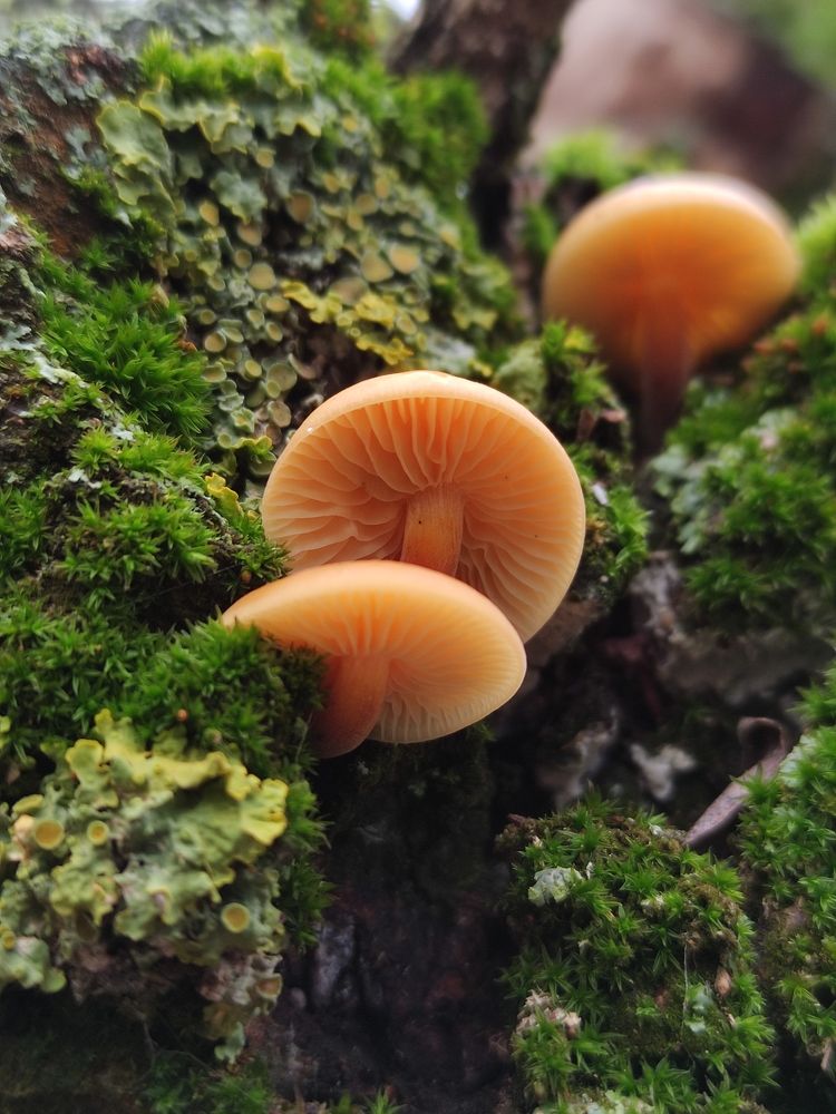 Photograph by Ирина Подлубная