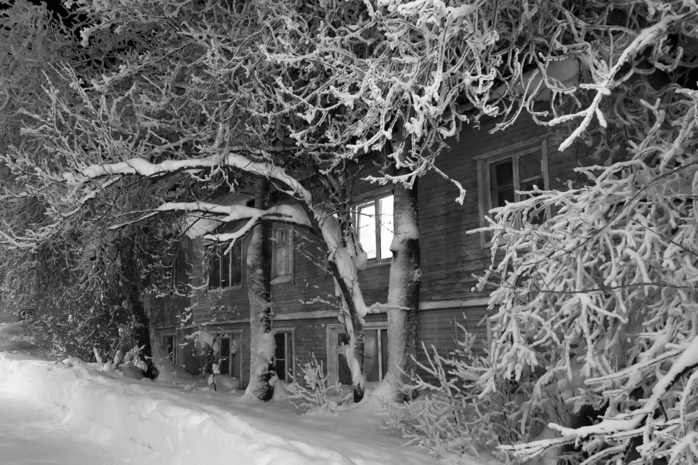 Photograph by Елена Брынько