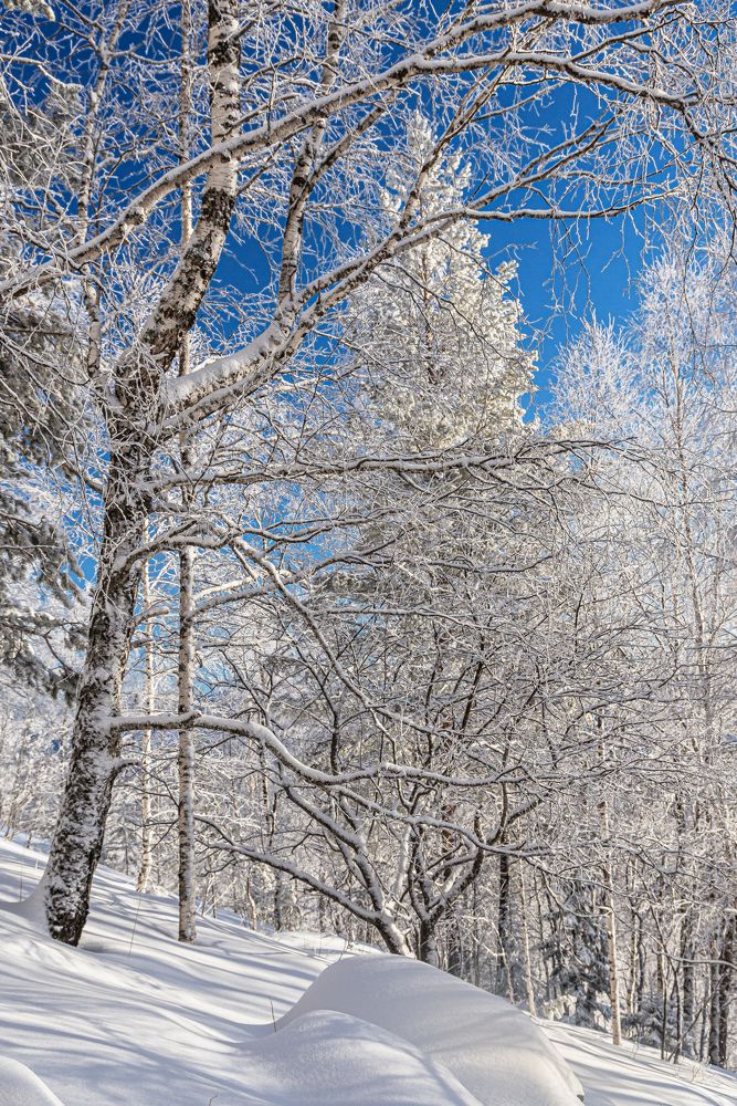 Photograph by Кирилл Аксенов