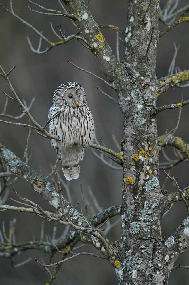 Photograph by Lubomir Novak