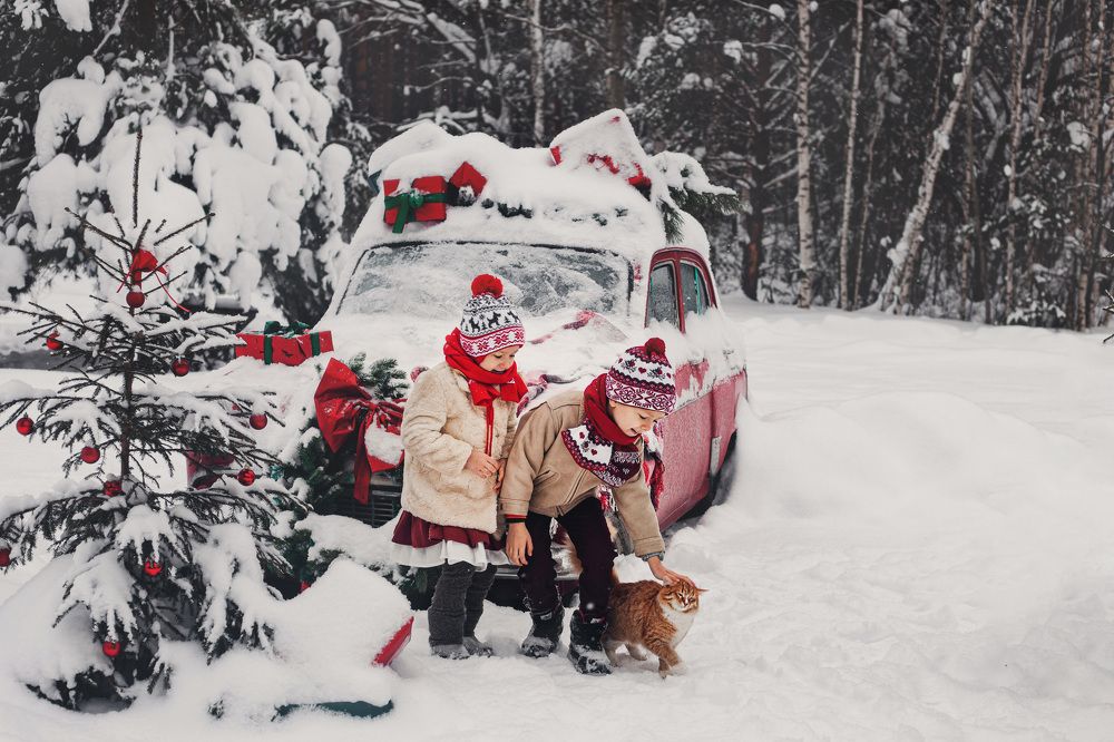 Photograph by Анастасия Грушина