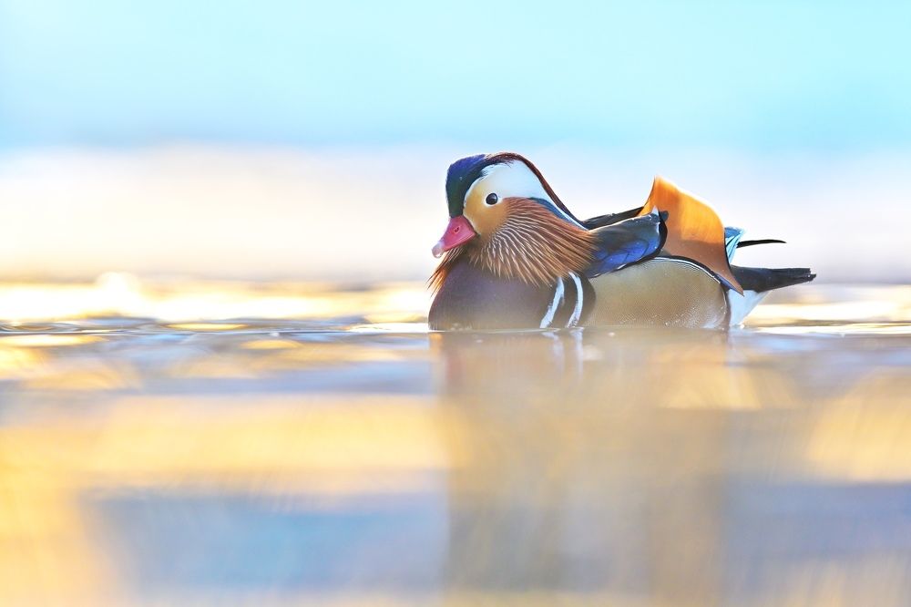 Photograph by Lubomir Novak