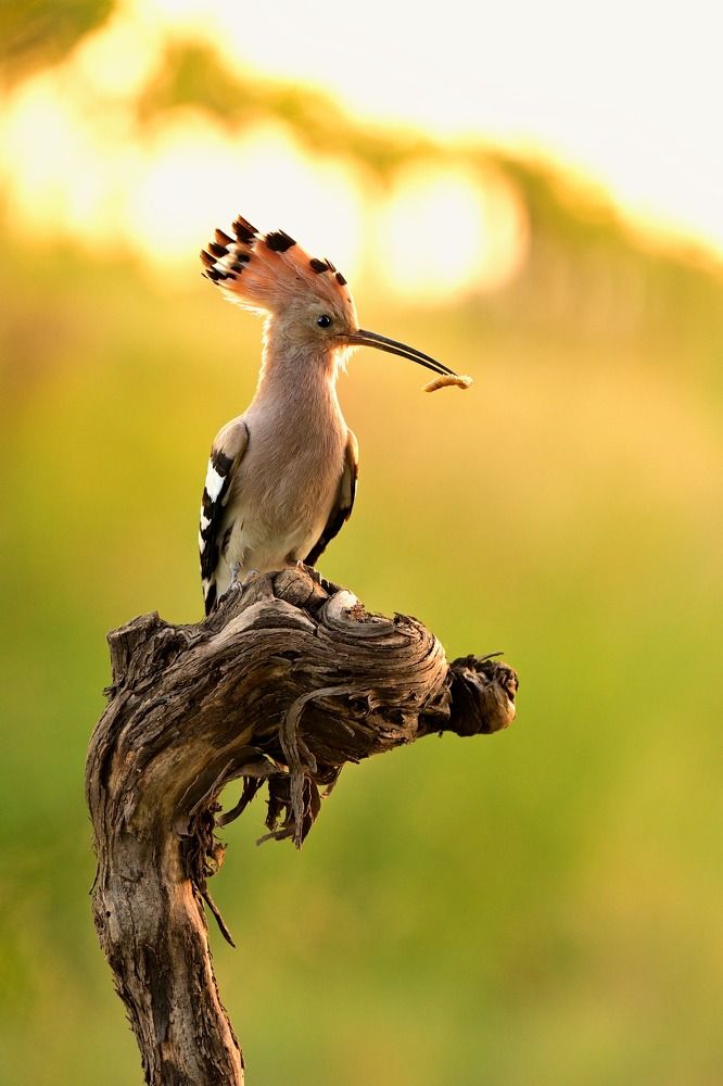 Photograph by Lubomir Novak