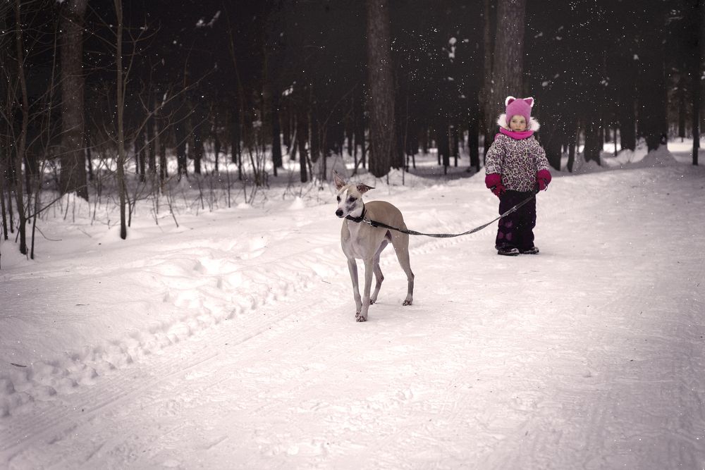 Photograph by Helena Proshkina