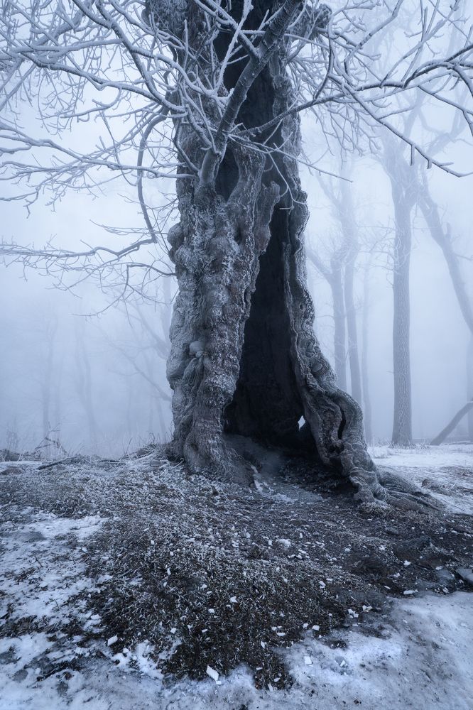 Photograph by David Watter