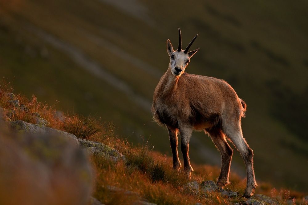 Photograph by Lubomir Novak