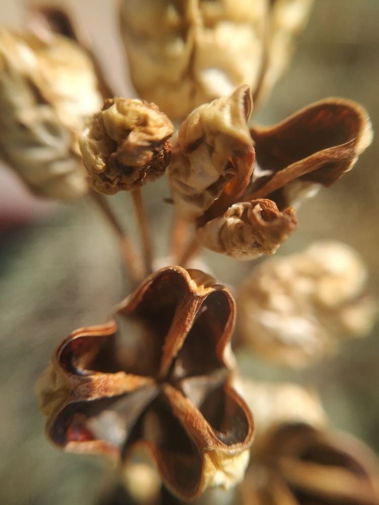 Photograph by Ольга