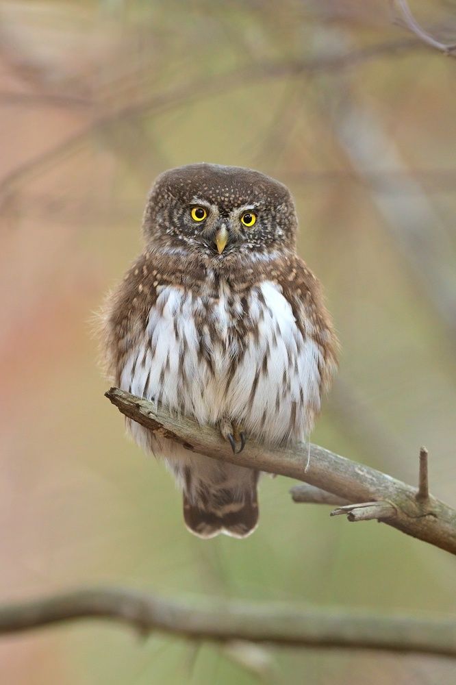 Photograph by Lubomir Novak